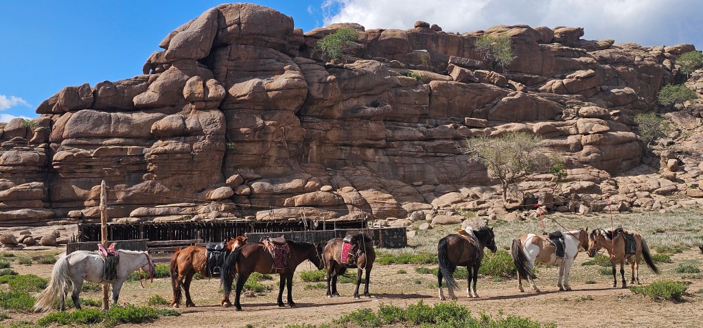 A line of horses standing in front of a large rock formation, surrounded by sparse vegetation and a clear blue sky.