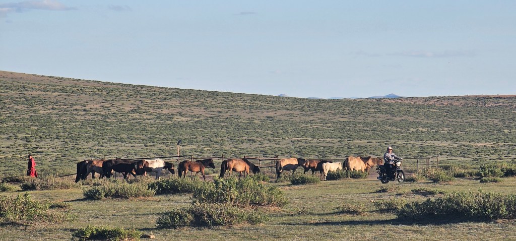 A landscape showing a herd of horses grazing in a grassy field, with a person on a motorcycle in the foreground and another individual dressed in traditional attire walking nearby.