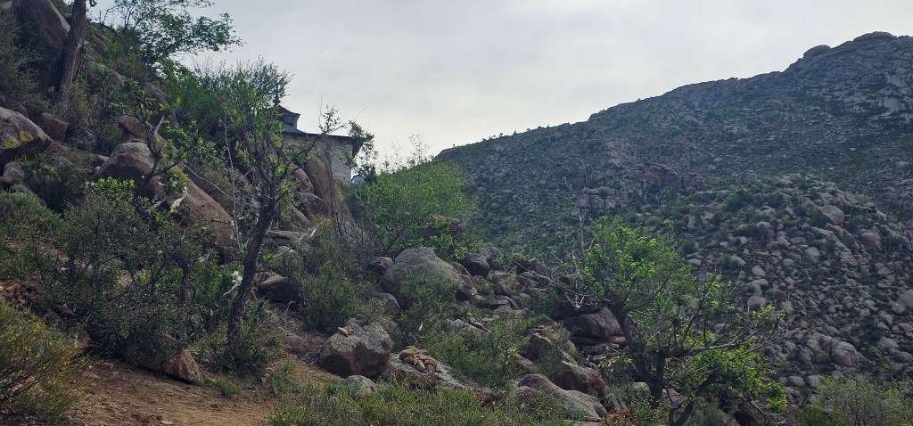 A rocky hillside with scattered greenery and shrubs, under a slightly cloudy sky.